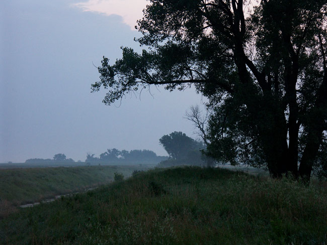 Morning Fog